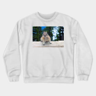 Chipmunk in Banff Alberta in Canada Crewneck Sweatshirt